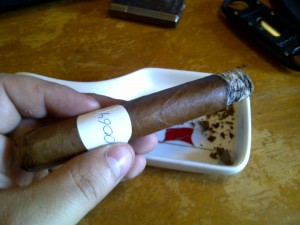 Blind Cigar Review: Rebellious Cigars | Signature Series - Ambition