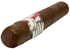 Blind Cigar Review: Asylum | Straight Jacket Robusto