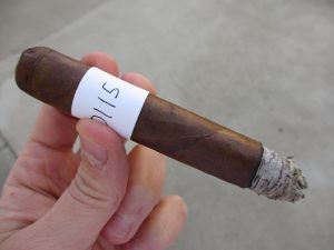 Blind Cigar Review: Asylum | Straight Jacket Robusto