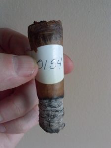 Blind Cigar Review: Durango | Dolce y Ahumado Robusto