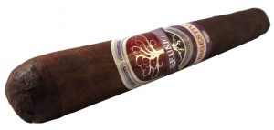 Blind Cigar Review: Bodega | Reunión Digestivo Corona Gorda