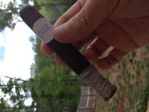 Blind Cigar Review: Bodega | Reunión Digestivo Corona Gorda