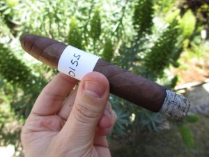 Blind Cigar Review: Padilla | Reserva Habano Torpedo