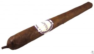 Blind Cigar Review: Emilio | La Musa Melete Lancero