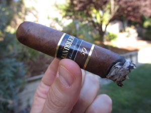 Quick Cigar Review: Bandolero Tremendos