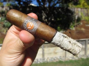 Quick Cigar Review: Maya Selva | Villa Zamorano El Gordo