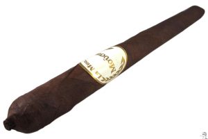 Blind Cigar Review: Emilio | La Musa Mousa Lancero