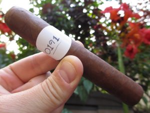 Blind Cigar Review: Arandoza | White Robusto