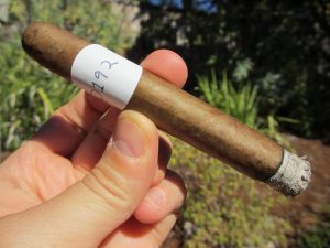 Blind Cigar Review: Sultan | Ron Stacy Signature Corona