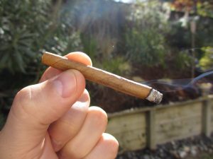 Quick Cigar Review: Royal Agio | Panter Blue and Mehari's Java