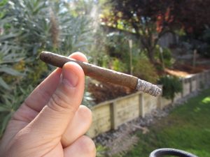 Quick Cigar Review: Royal Agio | Panter Blue and Mehari's Java