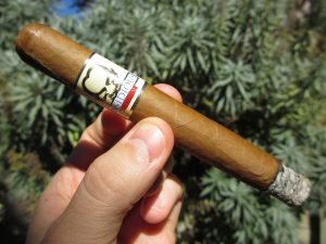 Quick Cigar Review: Asylum | Insidious Corona