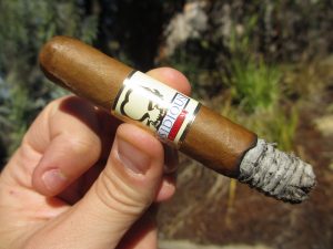 Quick Cigar Review: Asylum | Insidious Corona