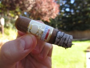 Quick Cigar Review: Asylum | Insidious Corona