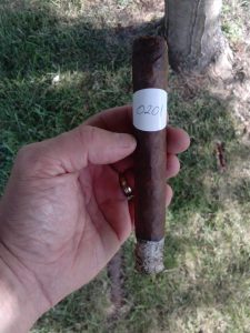 Blind Cigar Review: CAO | Amazon Basin Toro