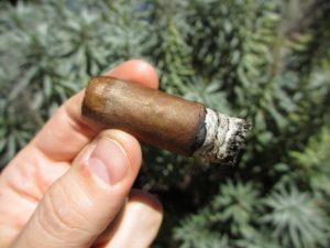 Quick Cigar Review: Nestor Miranda Collection | Connecticut Robusto