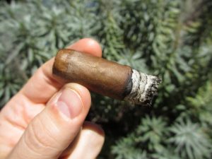 Quick Cigar Review: Nestor Miranda Collection | Connecticut Robusto