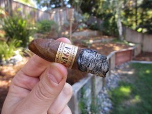 Quick Cigar Review: Saga | Blend No. 7 Perfecto