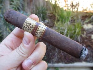 Quick Cigar Review: Rocky Patel | Royale Robusto