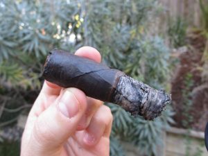 Quick Cigar Review: Blue Mountain Cigars | Double Black Añejo