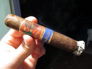 Quick Cigar Review: Sotolongo | Hechicera Maduro Robusto