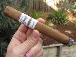 Quick Cigar Review: Iconic Leaf | Recluse Amadeus Toro