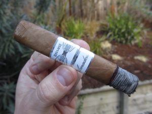 Quick Cigar Review: Iconic Leaf | Recluse Amadeus Toro