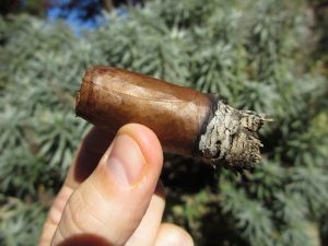 Quick Cigar Review: Victor Calvo | Habano Gran Robusto