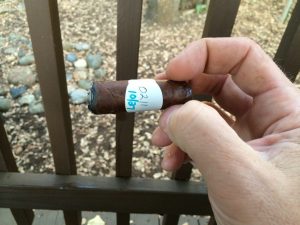 Blind Cigar Review: Dunhill | 1907 Robusto