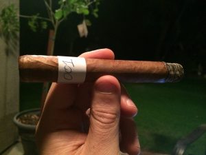 Blind Cigar Review: What Embargo? | Mystery Cuban Cigar #2