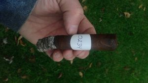 Blind Cigar Review: Total Flame | Wild One Robusto (Prerelease)