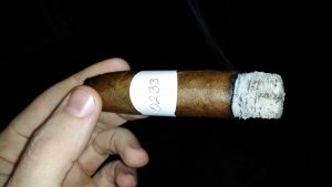 Blind Cigar Review: Crimson Lord | Ten 58 Short Torpedo