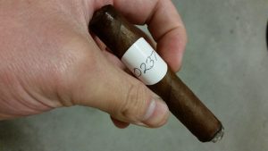 Blind Cigar Review: Crux | Passport Corona Gorda