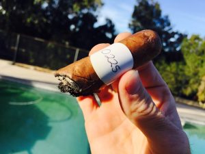 Blind Cigar Review: Cubanacan | Soneros Habano Claro Toro