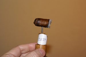 Blind Cigar Review: La Patrona | Robusto