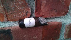 Blind Cigar Review: ted's | Made by Hand Maduro