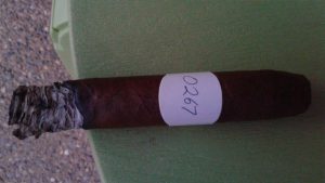 Blind Cigar Review: Maya Selva | Flor de Selva Maduro No. 15