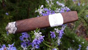 Blind Cigar Review: Iconic Leaf | Recluse OTG Toro