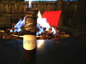 Blind Cigar Review: Maya Selva | Flor de Selva Maduro No. 15