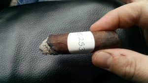 Blind Cigar Review: Iconic Leaf | Recluse OTG Toro