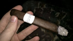 Blind Cigar Review: Iconic Leaf | Recluse OTG Toro