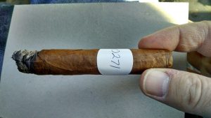 Blind Cigar Review: Black Label Trading Company | Deliverance Corona