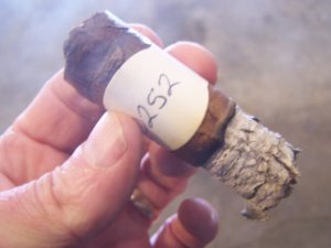 Blind Cigar Review: Don Lucas | A.L. Series Short Toro