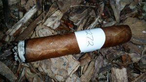 Blind Cigar Review: Espinosa | Laranja Reserva Corona Gorda