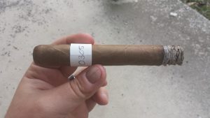 Blind Cigar Review: VegaFina | Nicaragua Gran Toro