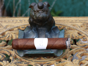 Blind Cigar Review: Epic | Corojo Reserva Double Corona