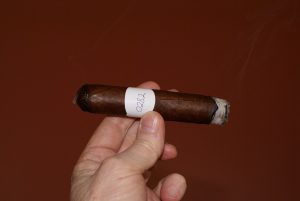 Blind Cigar Review: Maya Selva | Flor de Selva Maduro Tempo