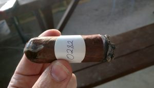 Blind Cigar Review: Maya Selva | Flor de Selva Maduro Tempo