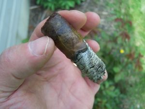 Blind Cigar Review: Emilio | Mia Dora Coronita