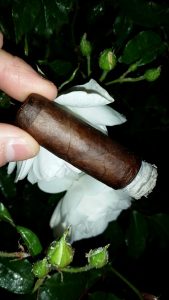 Blind Cigar Review: E.P. Carrillo | Edición Limitada 2011 “Dark Rituals”